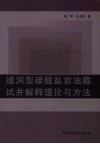 缝洞型碳酸盐岩油藏试井解释理论与方法 电子书封面