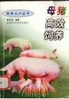 母猪高效饲养