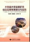 大型超大型金属矿床综合信息预测理论与实践  云南省金、银、铜、铅锌、锡大型超大型矿床密集区综合信息预测