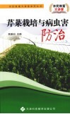 芹菜栽培与病虫害防治