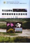东北盐碱地碱斑植被恢复及资源利用