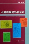 小肠疾病的外科治疗 封面
