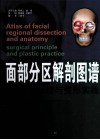 面部分区解剖图谱  手术原理与整形实践