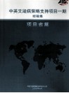 中英艾滋病策略支持项目一期经验集  项目省篇