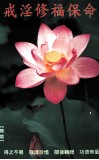 戒淫修福保命 封面