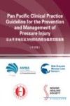 泛太平洋地区压力性损伤的防治临床实践指南  中文版