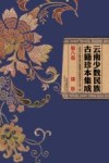 云南少数民族古籍珍本集成  第8卷  傣族