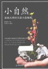 小自然  盆栽大师的无盆小品植栽