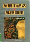 发展中经济的外资利用