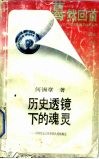 历史透镜下的魂灵-中国传统文化中的人性结构论