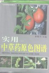实用中草药原色图谱  2 封面