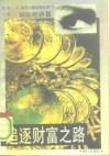 追逐财富之路