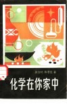 化学在你家中
