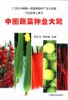 中国蔬菜种业大观 封面