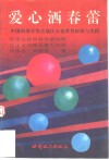 爱心洒春蕾  中国西部不发达地区女童教育探索与实践