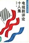 电视剧评论十人集