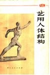 艺用人体结构