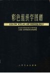彩色组织学图谱
