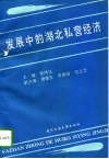 发展中的湖北私营经济