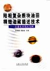 陆相复杂断块油田精细油藏描述技术  以港东开发区为例