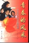 青春的风采  中直机关青年群英谱