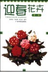 迎春花卉  第1辑