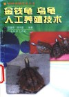 金钱龟  乌龟人工养殖技术