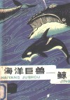 海洋巨兽-鲸
