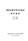 海赛克斯父母代白种鸡饲养指南