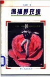 追捕野玫瑰  中国·常熟警官们的日日夜夜