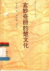 玄妙奇丽的楚文化 封面