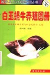 白玉蜗牛养殖图册