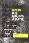 微生物脱除煤炭中的黄铁矿硫