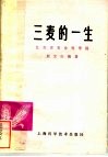 三麦的一生
