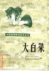 大白菜