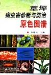 草坪病虫害诊断与防治原色图谱