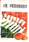大葱、洋葱高效栽培技术