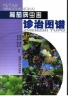葡萄病虫害诊治图谱