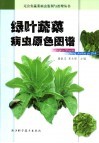 绿叶蔬菜病虫原色图谱