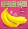 好宝宝挂图  水果