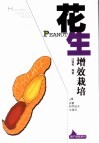 花生增效栽培