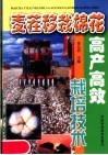 麦茬移栽棉花高产高效栽培技术
