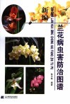 新编兰花病虫害防治图谱