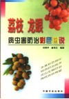 荔枝、龙眼病虫害防治彩色图说
