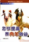 怎样提高养肉羊效益