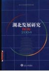 湖北发展研究报告  2004