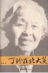 丁玲在北大荒 封面