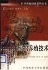 鹧鸪养殖技术