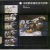 水粉静物画技法与步骤 封面