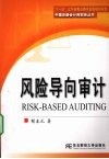 风险导向审计 封面